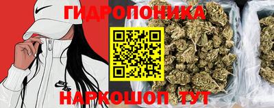 шишки Конаково