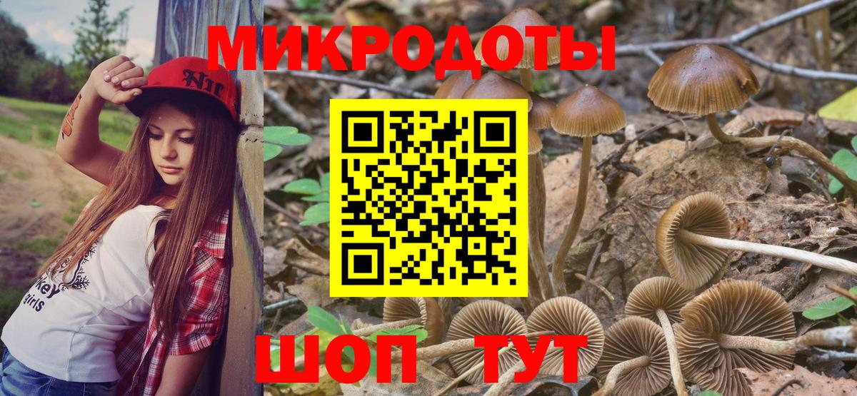 Псилоцибиновые грибы ЛСД Зима